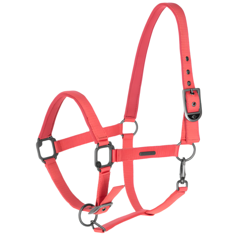 Covalliero Headcollar #colour_coral