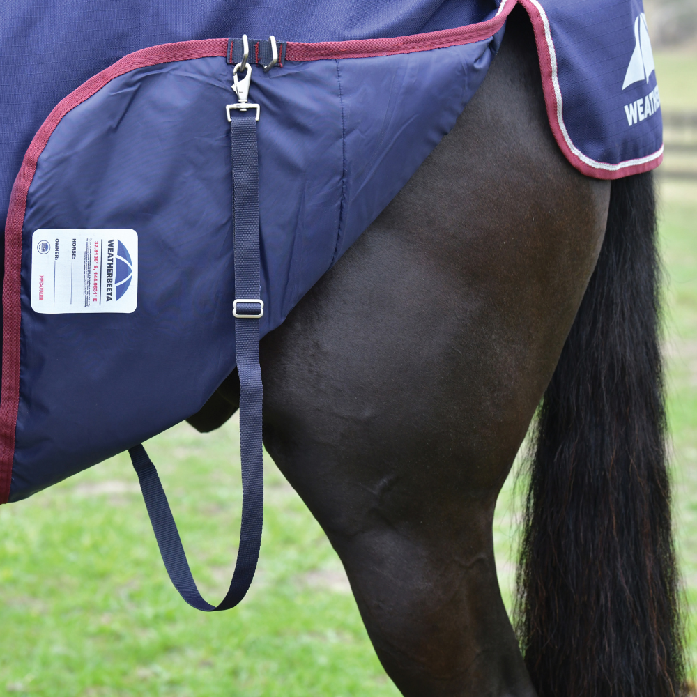Weatherbeeta Comfitec Essential 220G Turnout #colour_navy-burgundy