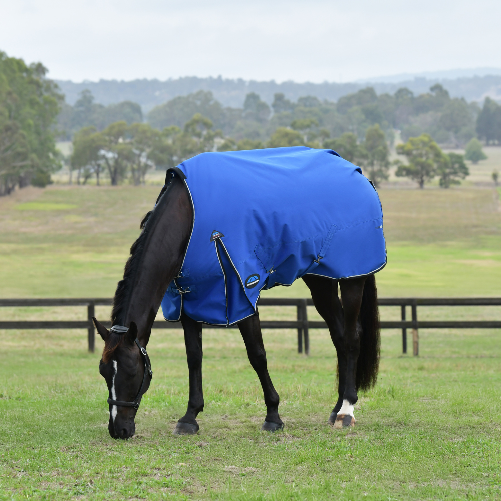 Weatherbeeta Comfitec Essential 220G Turnout #colour_cobalt-black