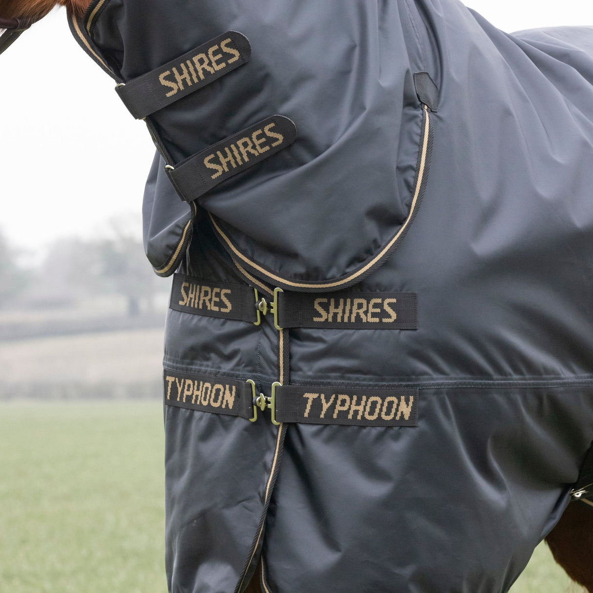 Shires Typhoon 50g Combo Turnout Rug