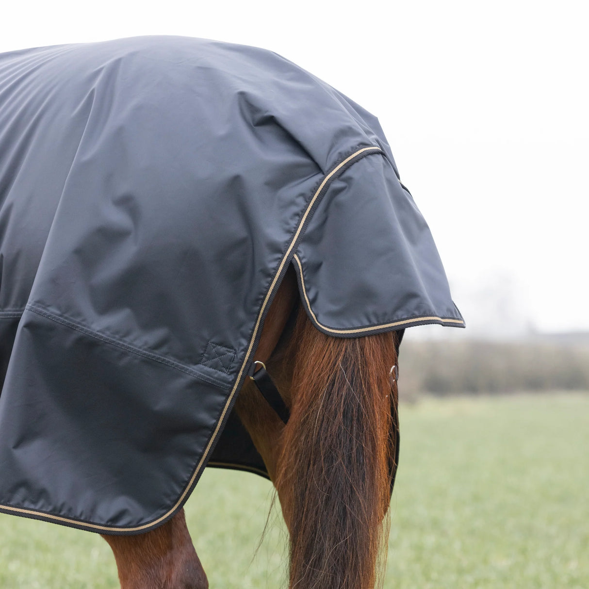 Shires Typhoon 50g Combo Turnout Rug