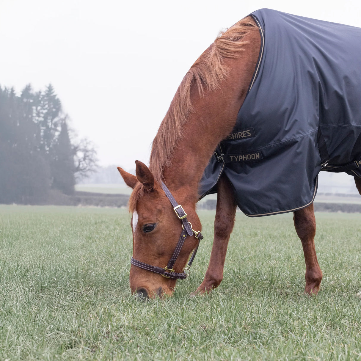 Shires Typhoon 50g Turnout Rug