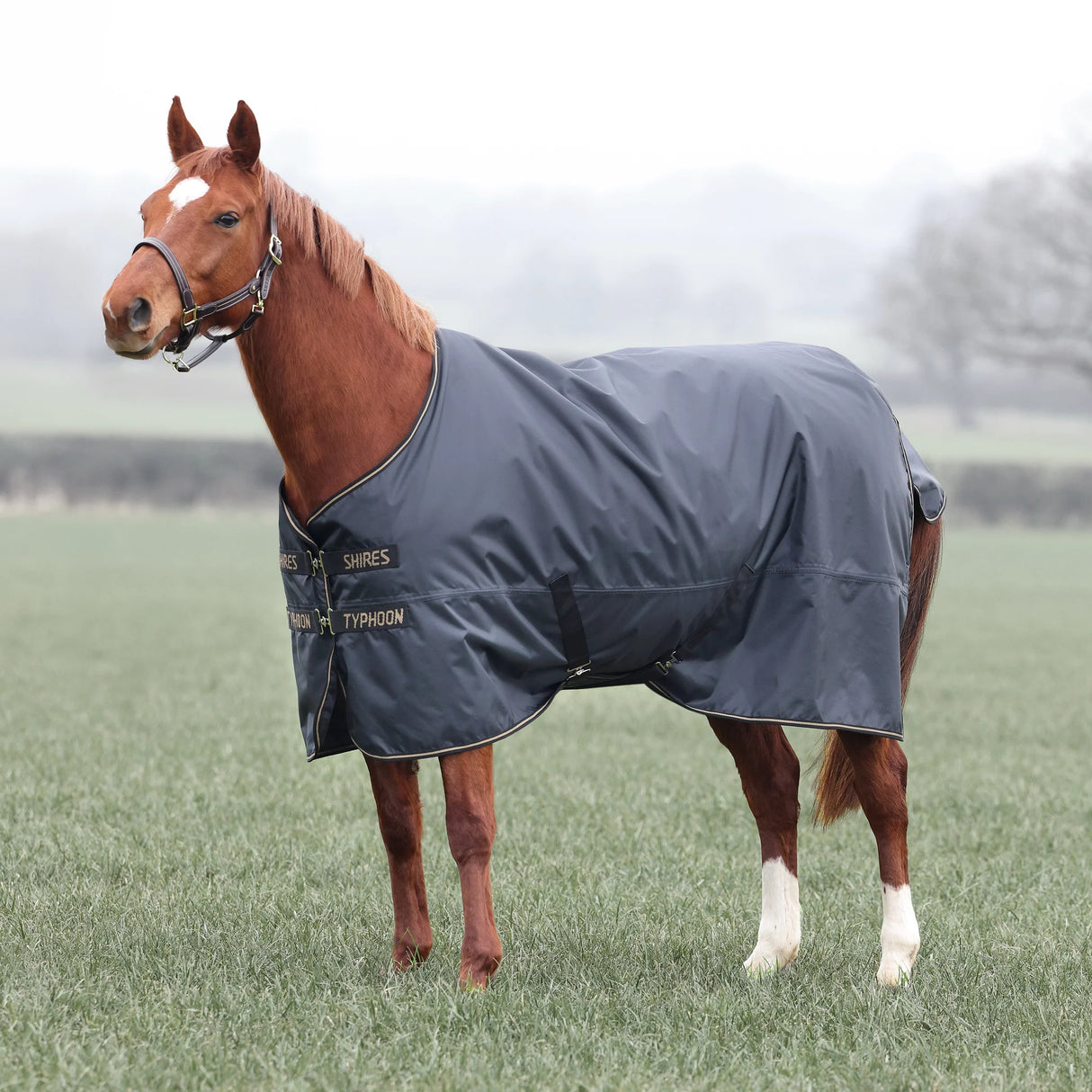 Shires Typhoon 50g Turnout Rug