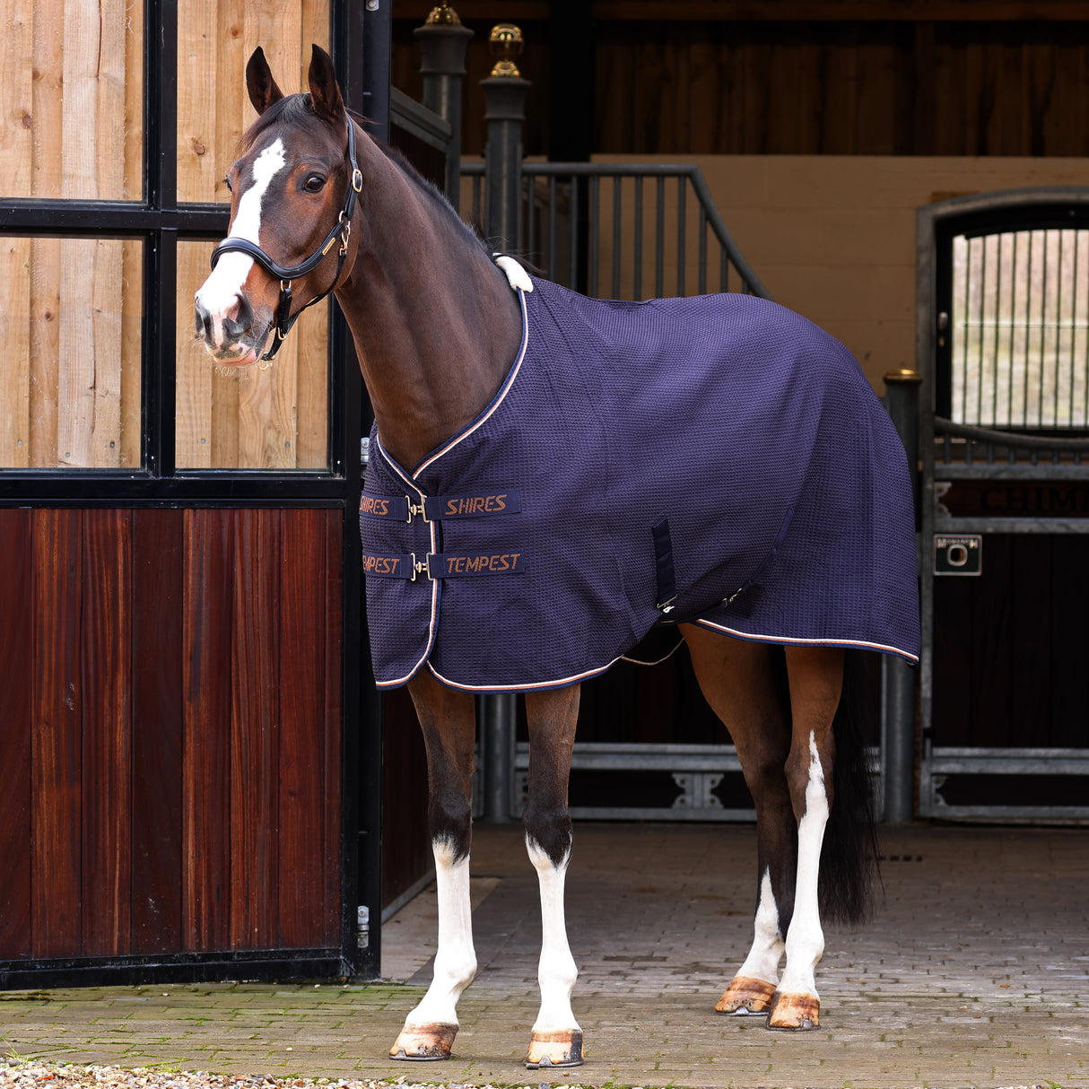 Shires Tempest Original Waffle Rug #colour_navy