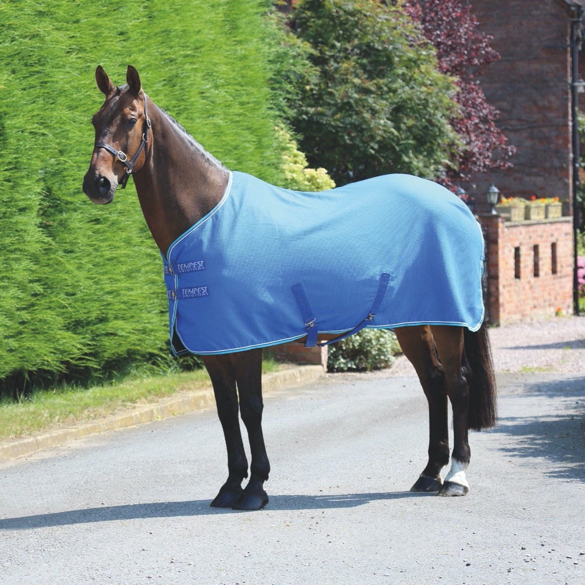 Shires Tempest Original Waffle Rug #colour_royal