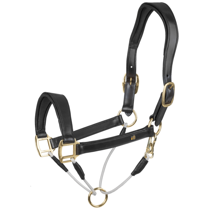 Waldhausen S-Line Royal Leather Halter #colour_black