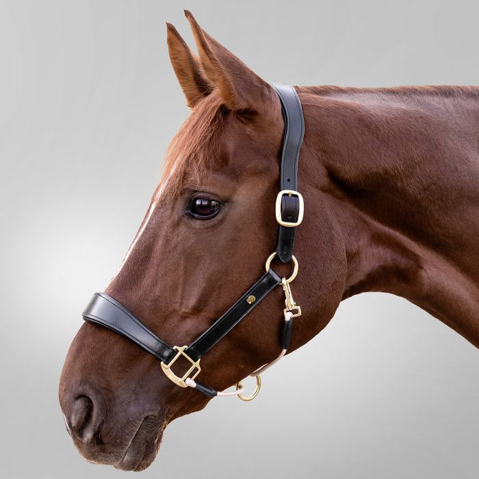 Waldhausen S-Line Royal Leather Halter #colour_black