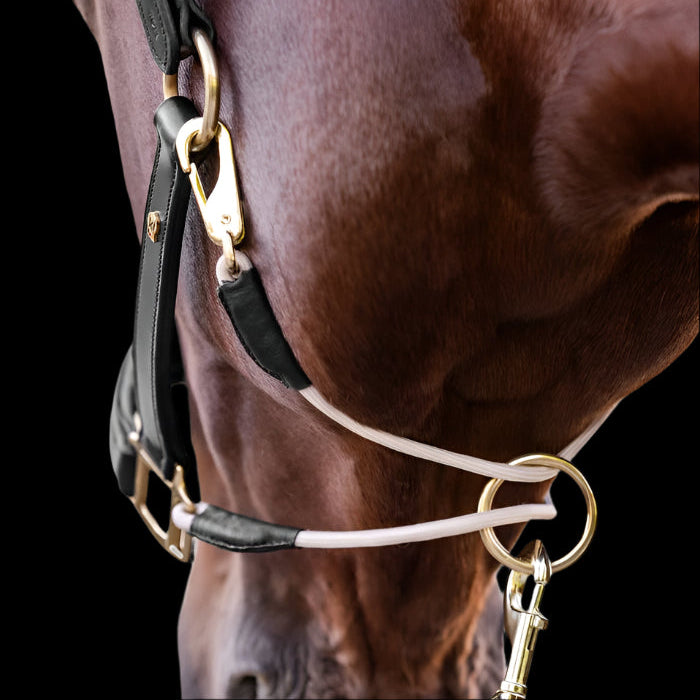 Waldhausen S-Line Royal Leather Halter #colour_black