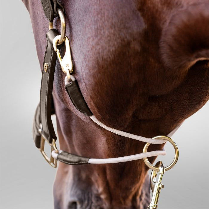 Waldhausen S-Line Royal Leather Halter #colour_brown