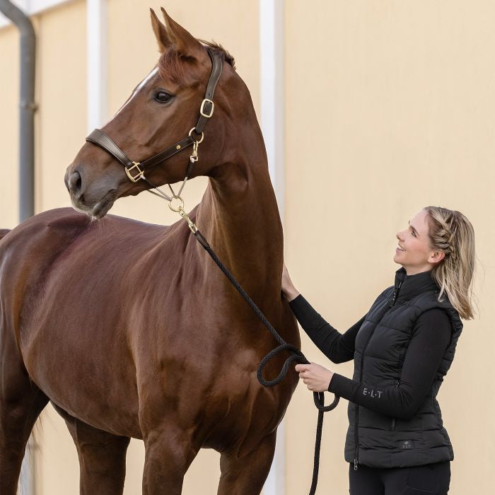 Waldhausen S-Line Royal Leather Halter #colour_brown