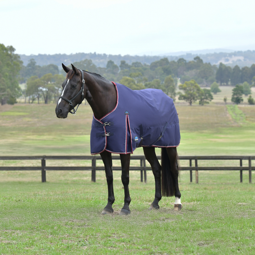 Weatherbeeta Comfitec Essential 220G Turnout #colour_navy-burgundy