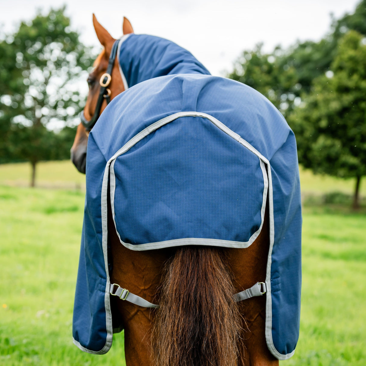 Horseware Ireland Amigo Ripstop 900 0g Turnout Rug #colour_navy-titanium-grey