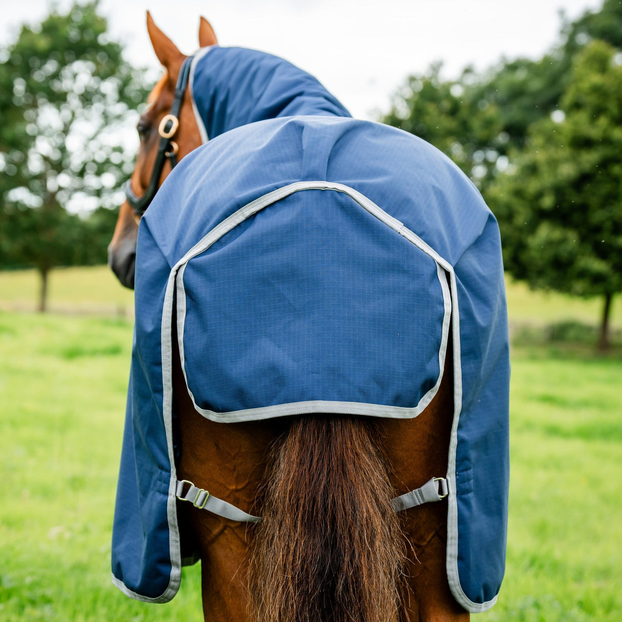 Horseware Ireland Amigo Ripstop 900D 100g Turnout Rug #colour_navy-titanium-grey