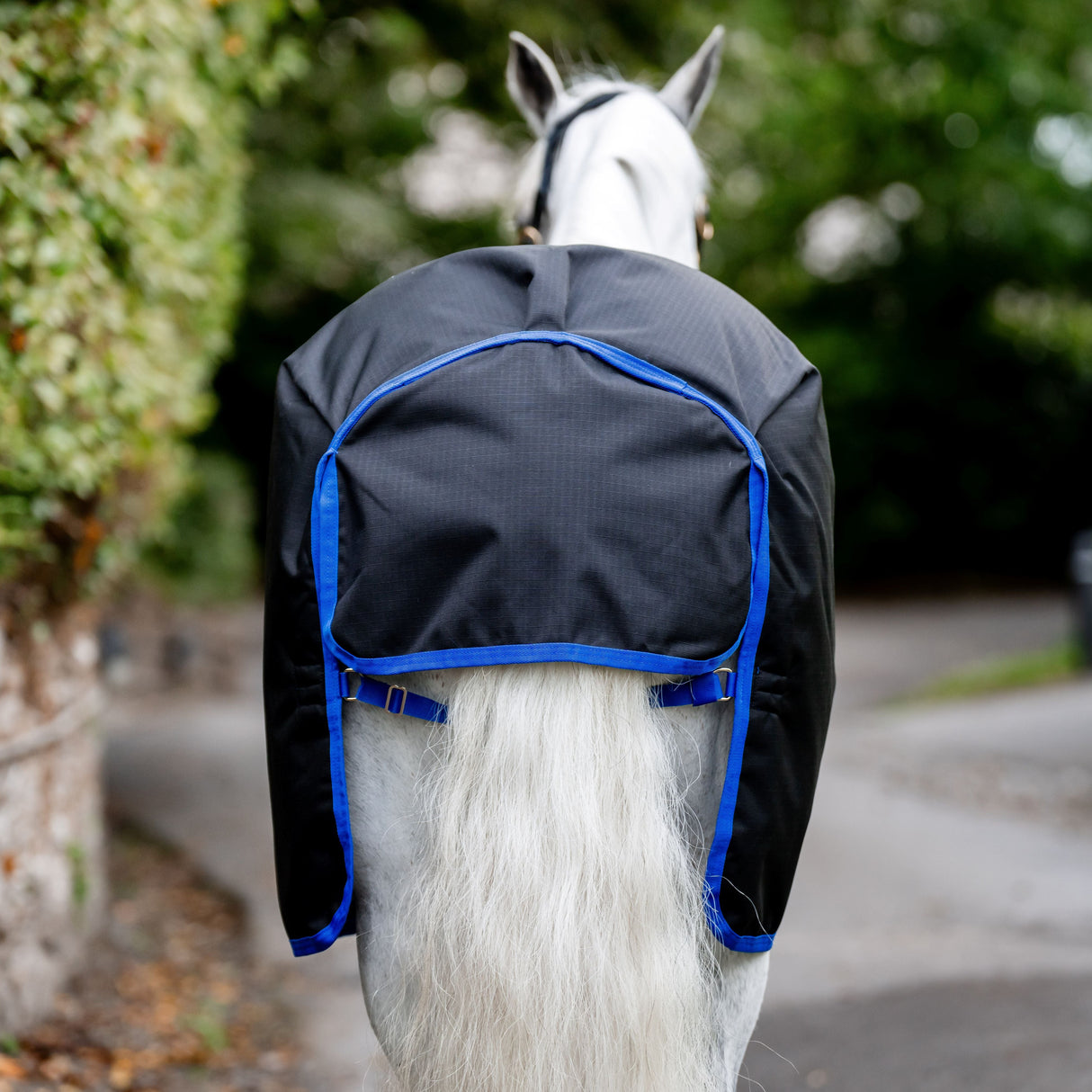 Horseware Ireland Amigo Ripstop 900D Pony 0g Turnout Rug #colour_black-classic-blue