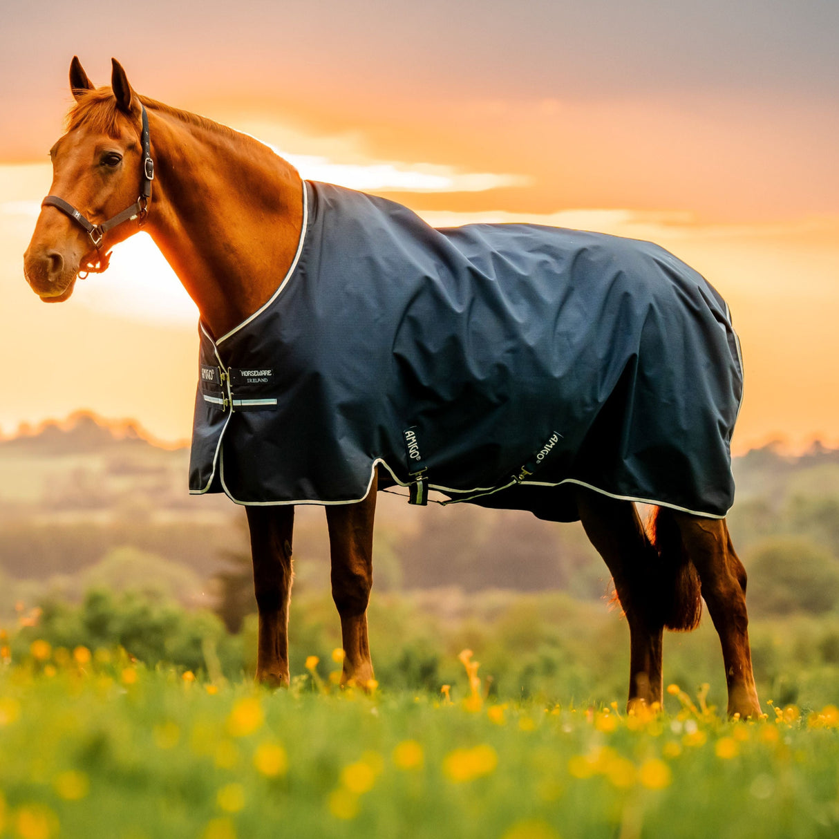 Horseware Ireland Amigo Ripstop 900D Pony 0g Turnout Rug #colour_witney-navy
