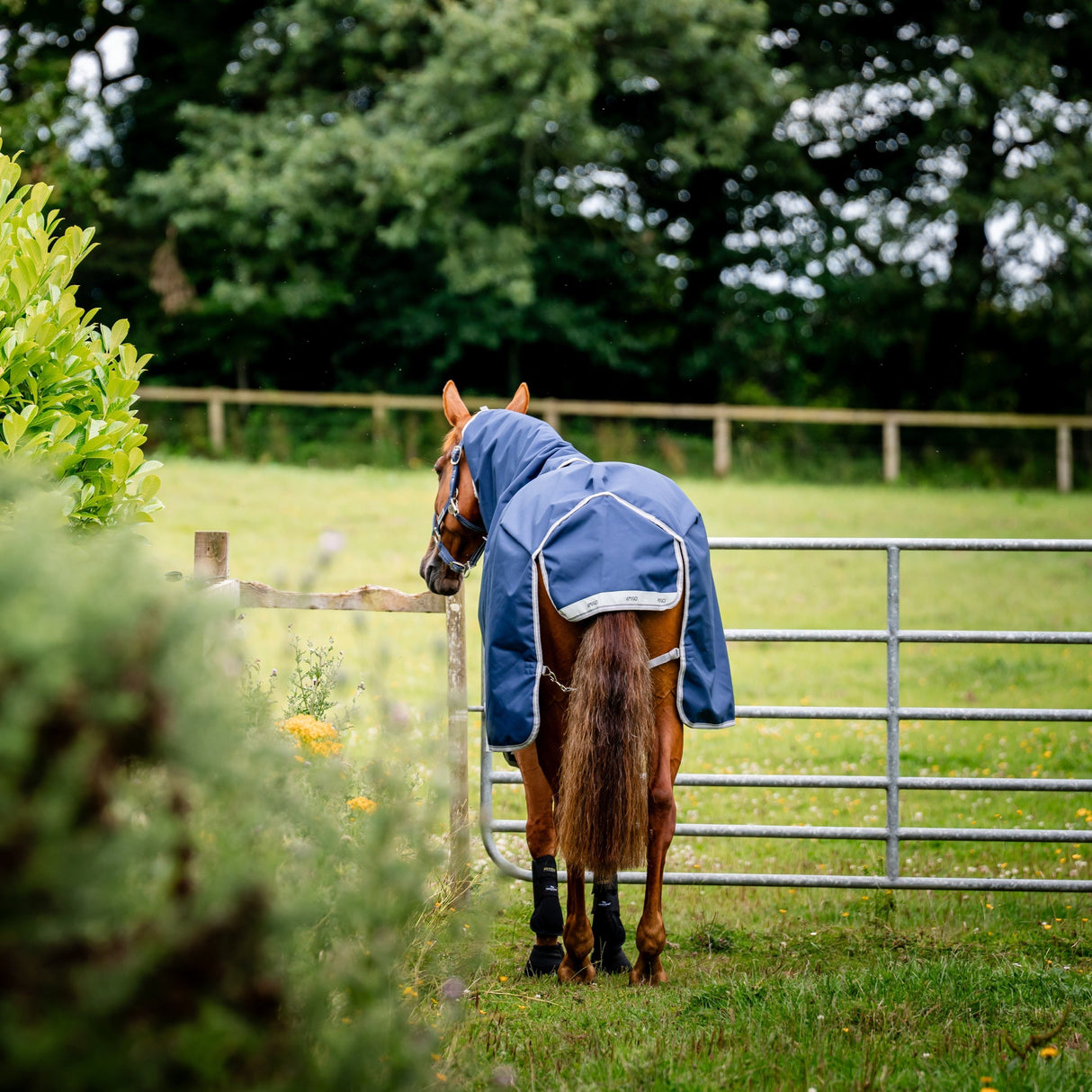 Horseware Ireland Amigo Bravo 12 Plus Bundle V-Front 50g Turnout Rug #colour_navy-titanium-grey-silver