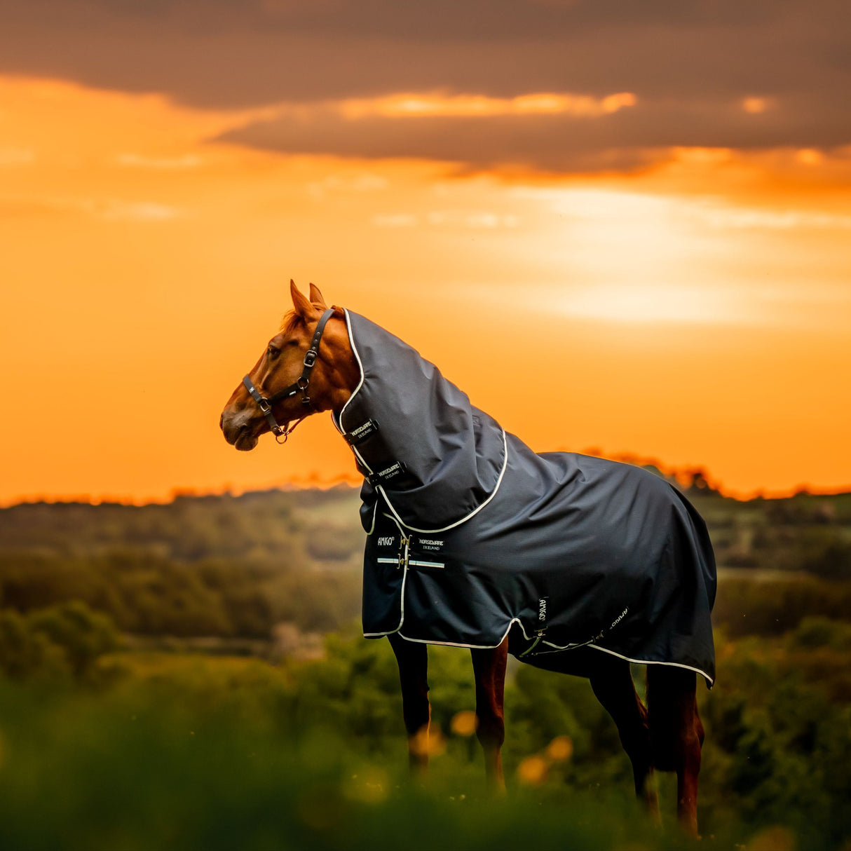 Horseware Ireland Amigo Ripstop 900 Plus 200g #colour_witney-navy