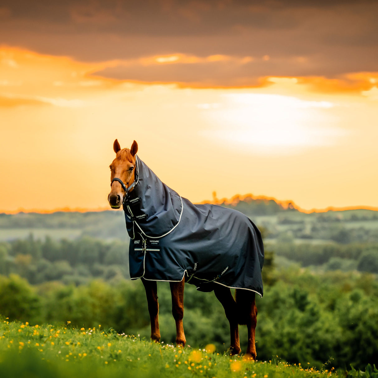 Horseware Ireland Amigo Ripstop 900 Plus 200g #colour_witney-navy