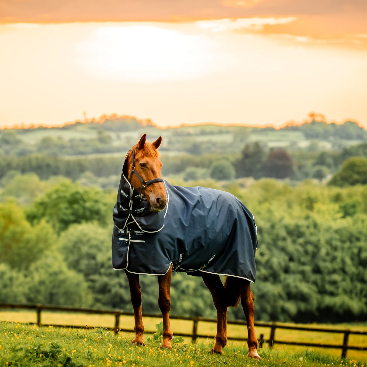 Horseware Ireland Amigo Ripstop 900 Plus 200g #colour_witney-navy