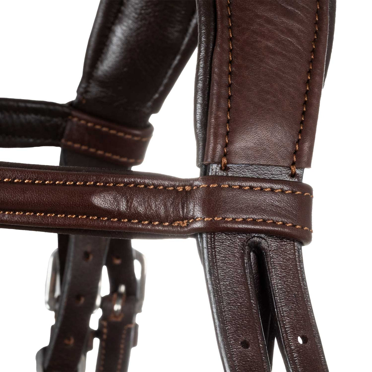 Acavallo Primavera Bridle Calfskin #colour_brown