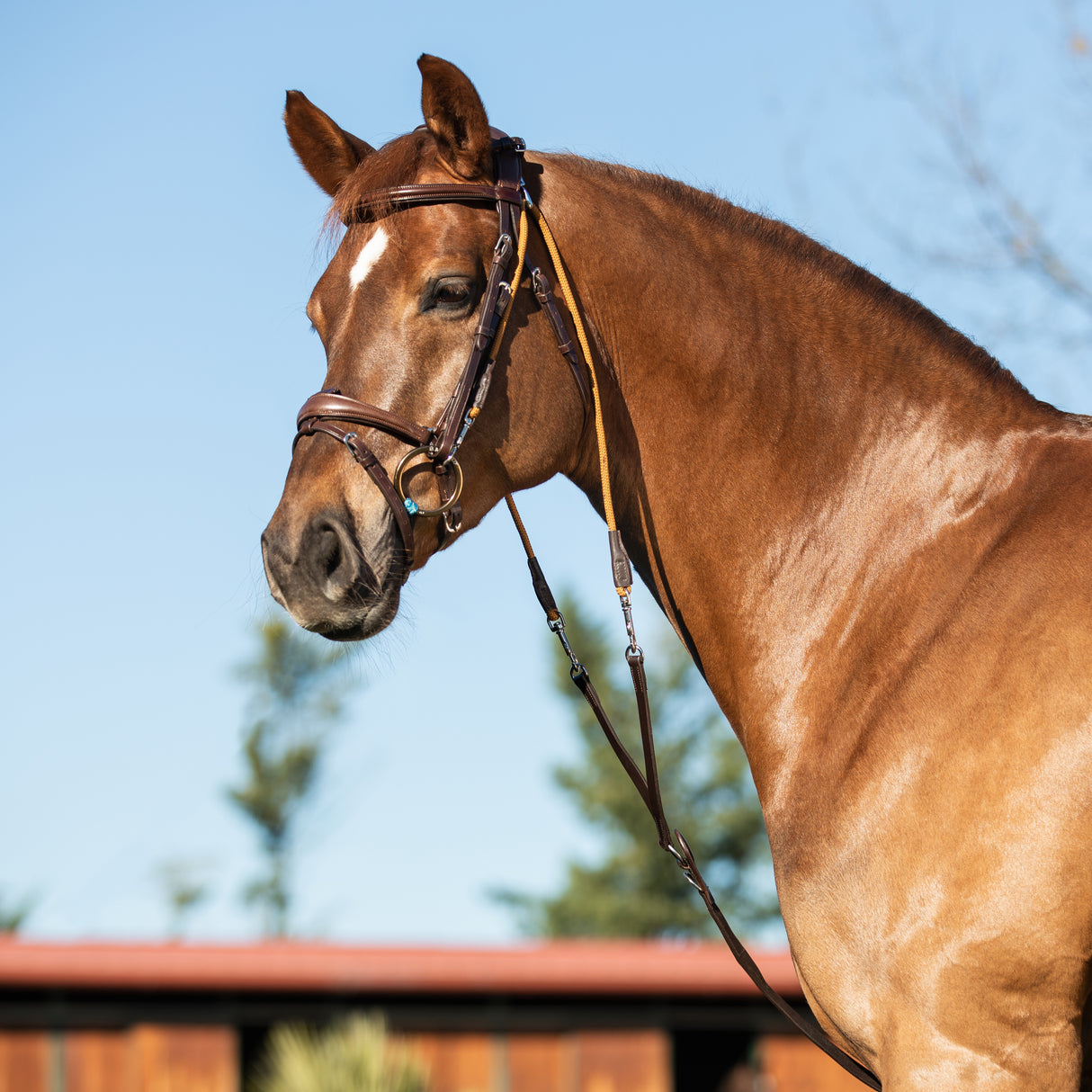 Acavallo Chambon Italian Calfskin & Nylon #colour_brown