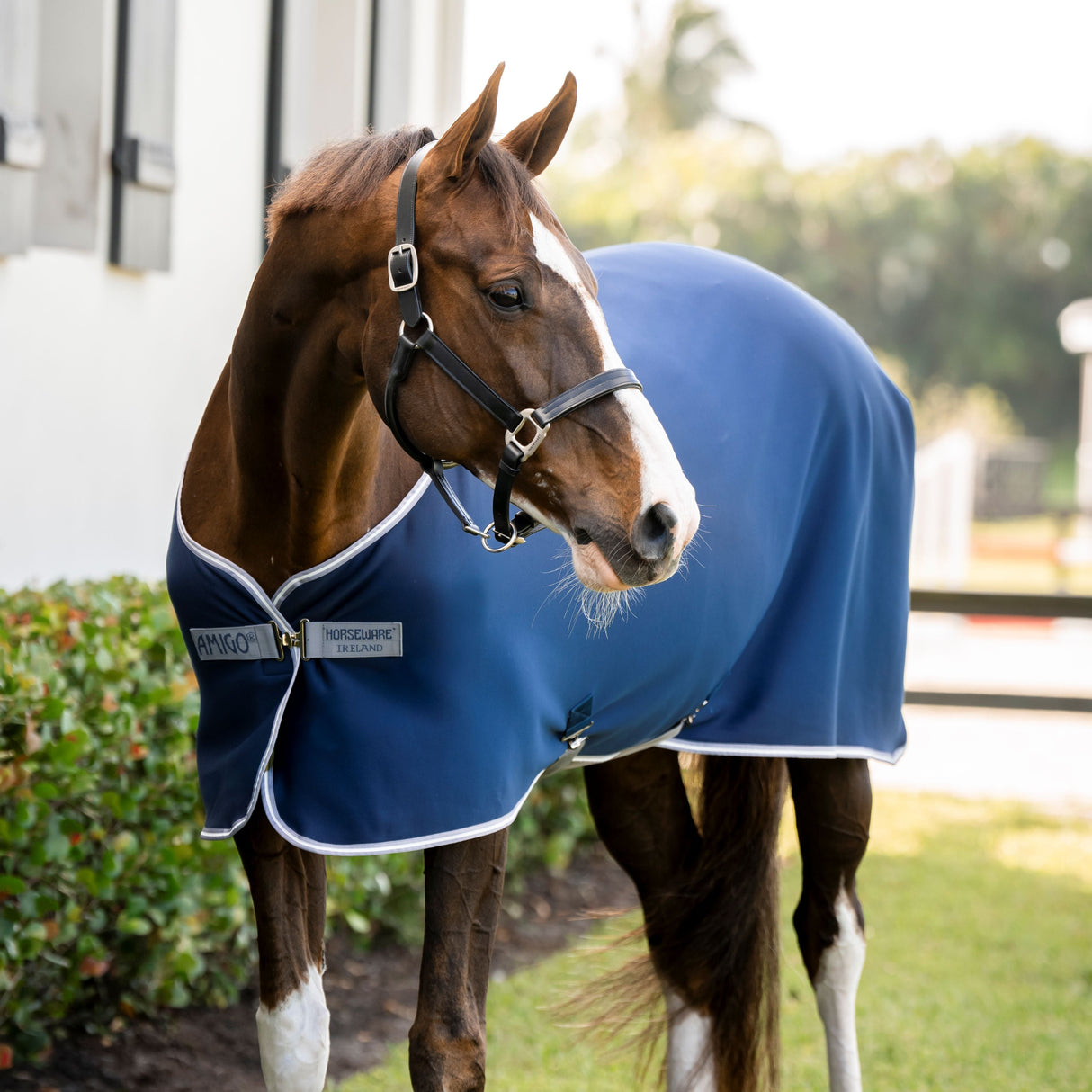 Horseware Ireland Amigo Jersey Pony Cooler #colour-navy-titanium-grey-silver