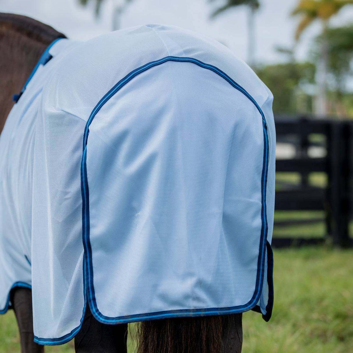 Horseware Ireland Amigo Bug Rug Plus #colour_azure-blue-navy-electric-blue