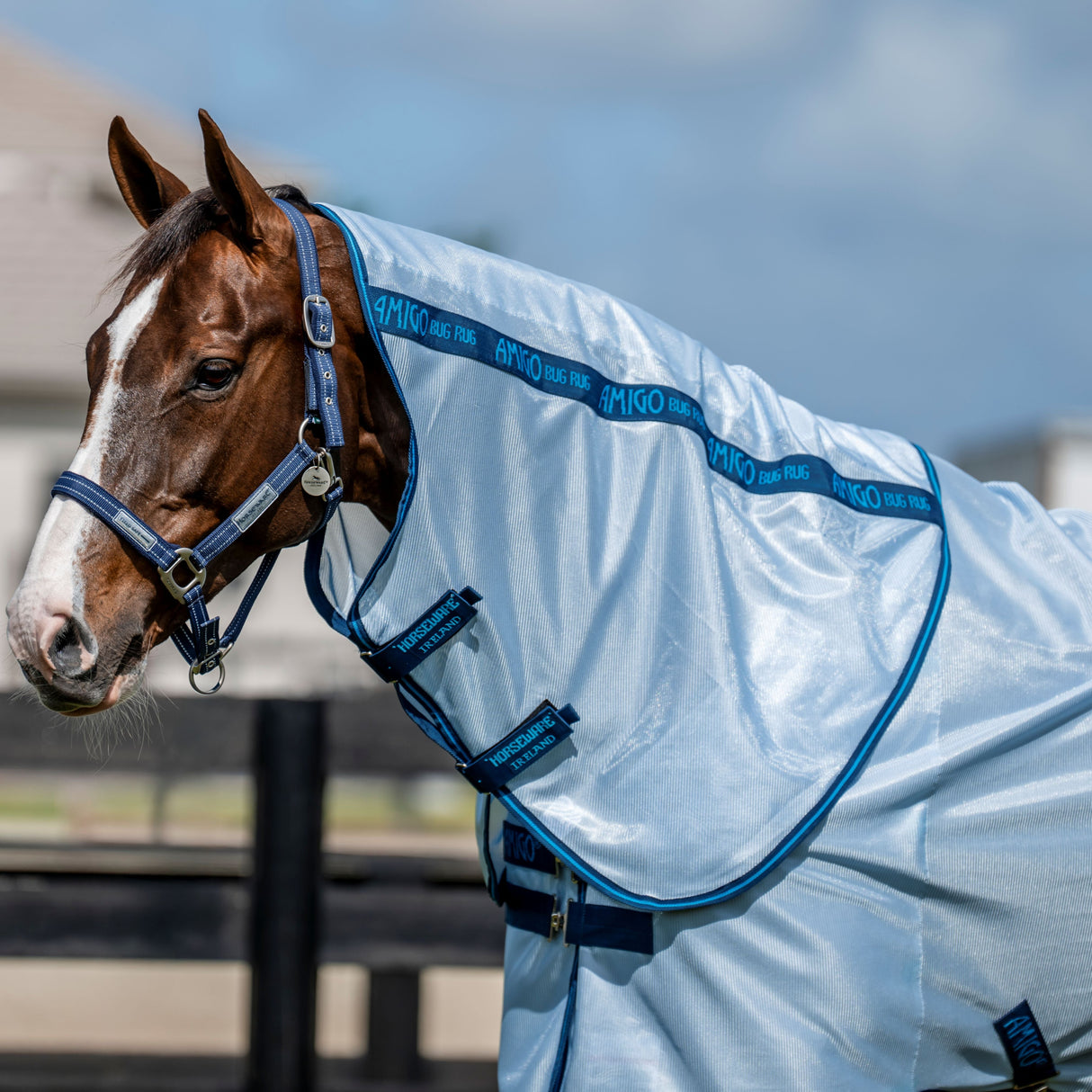 Horseware Ireland Amigo Bug Rug Hood #colour_azure-navy-electric-blue