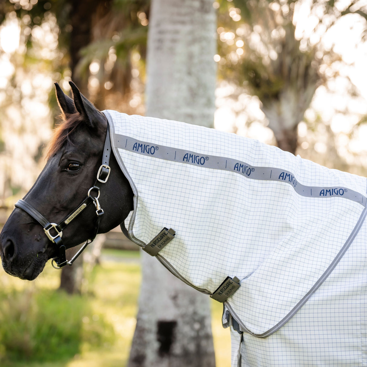 Horseware Ireland Amigo Summer Sheet Plus #colour-navy-check-titanium-grey-silver