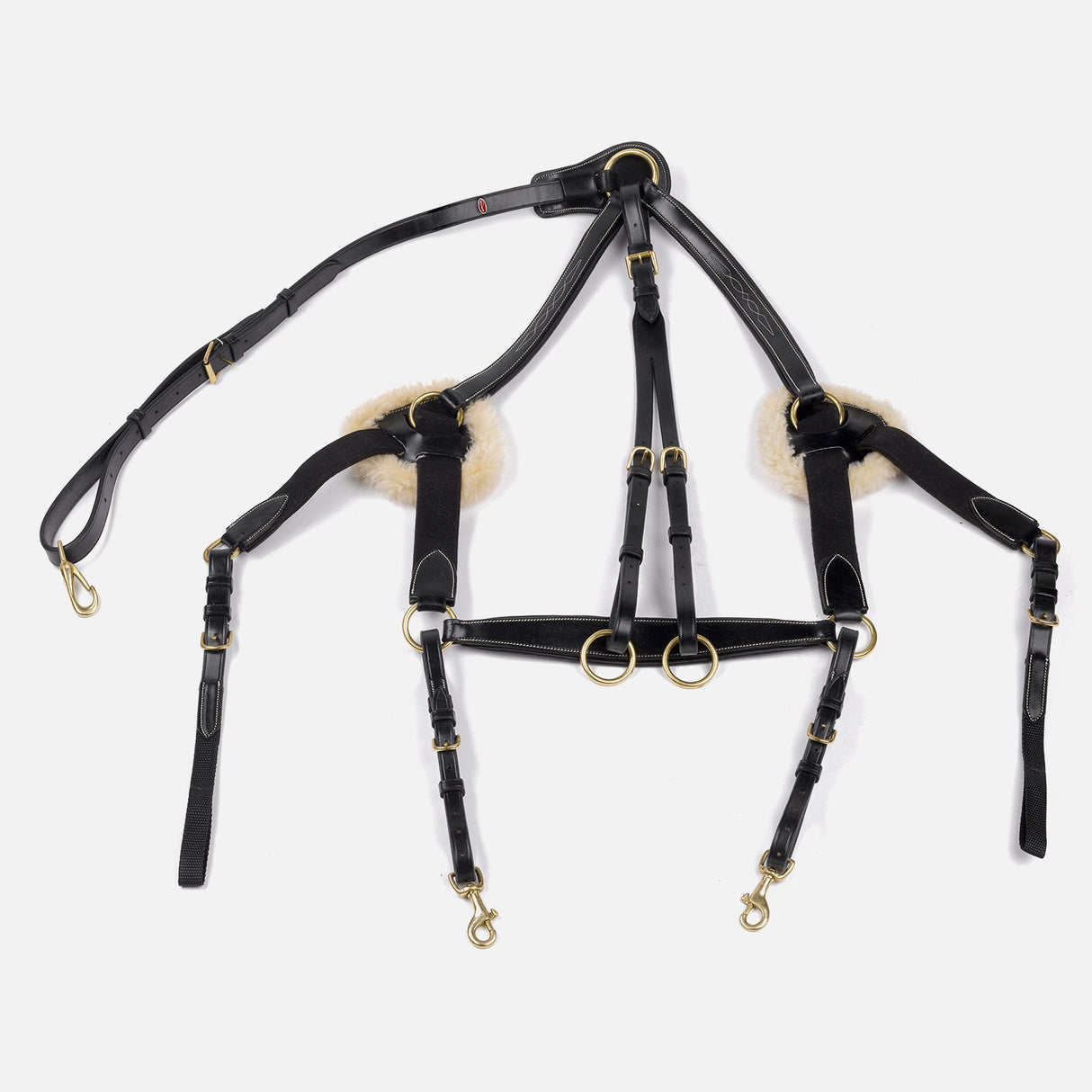 Whitaker Valencia 5 Point Breastplate #colour_black