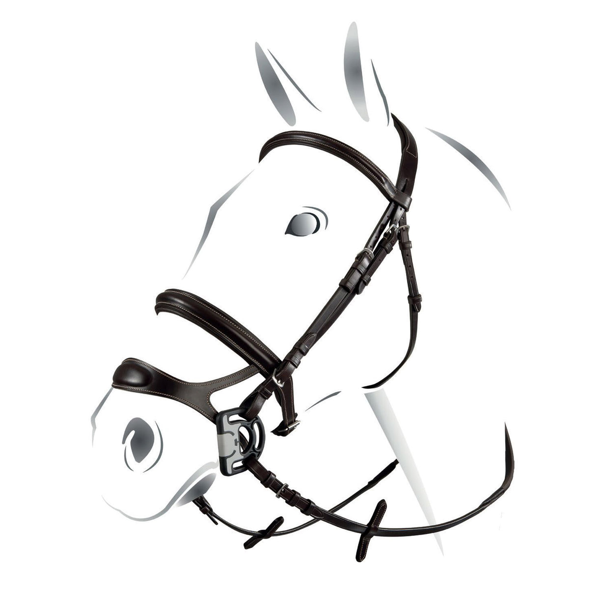 Equestro Equestro Combined Model Bridle