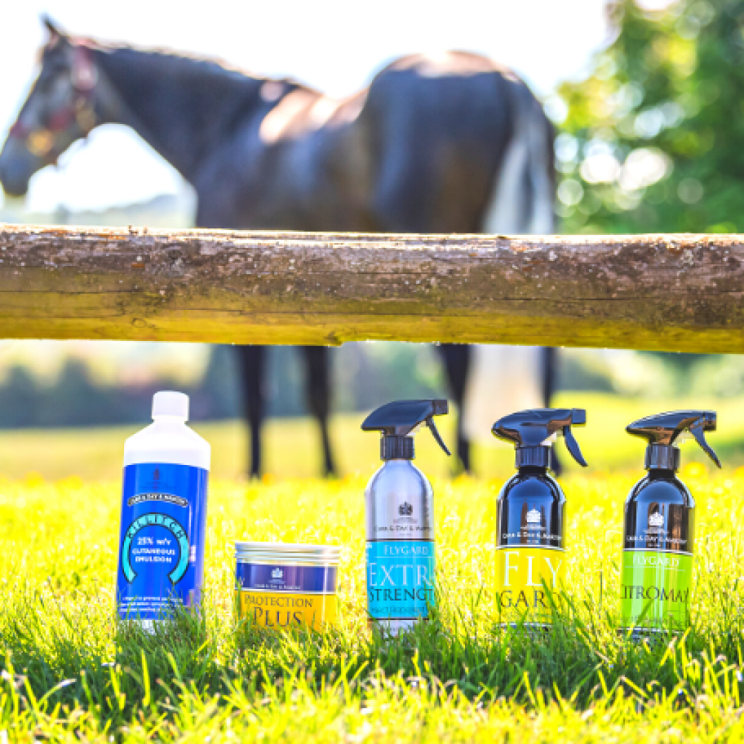 Carr & Day & Martin Killitch