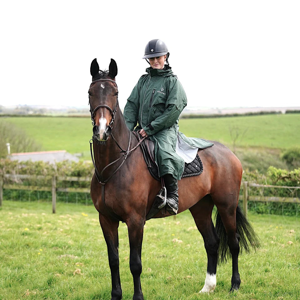 EQUIDRY Women's Thin Fleece Reflective Evolution #colour_black-forest-green