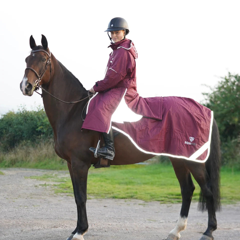 EQUIDRY Women's Thin Fleece Reflective Evolution #colour_plum