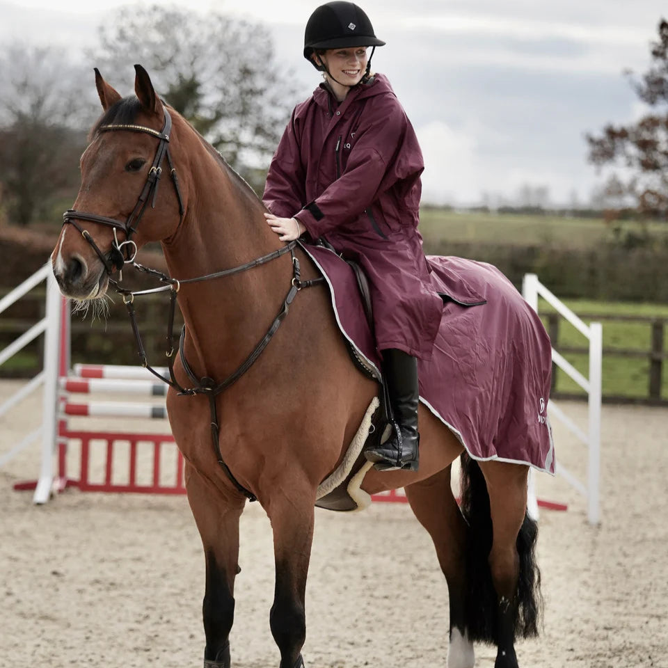 EQUIDRY Exercise Sheet Thick #colour_plum-grey