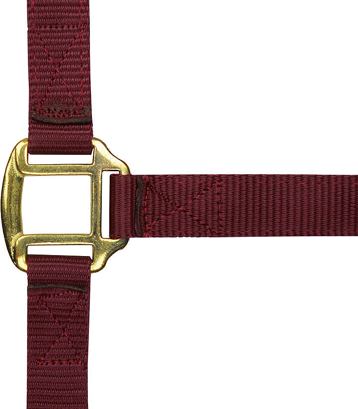 Norton Leather Lined Nylon Headcollar