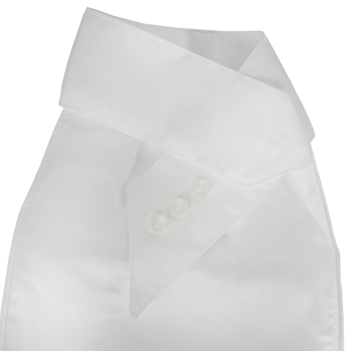 Equestro Competition Plastron With Embroidered Logo