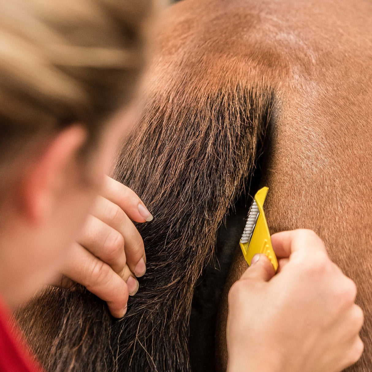 Smart Grooming Equi-Shave - Single