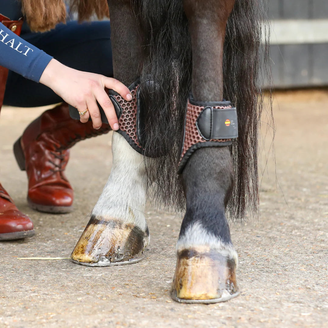 Equilibrium Tri-Zone Fetlock Boots #colour_brown