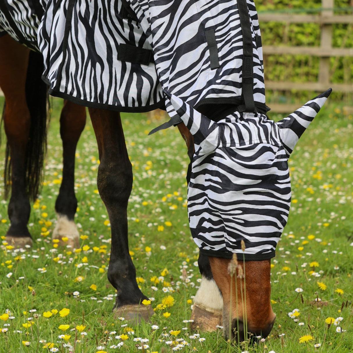 GS Equestrian Zebra Print Fly Rug #colour_black/white