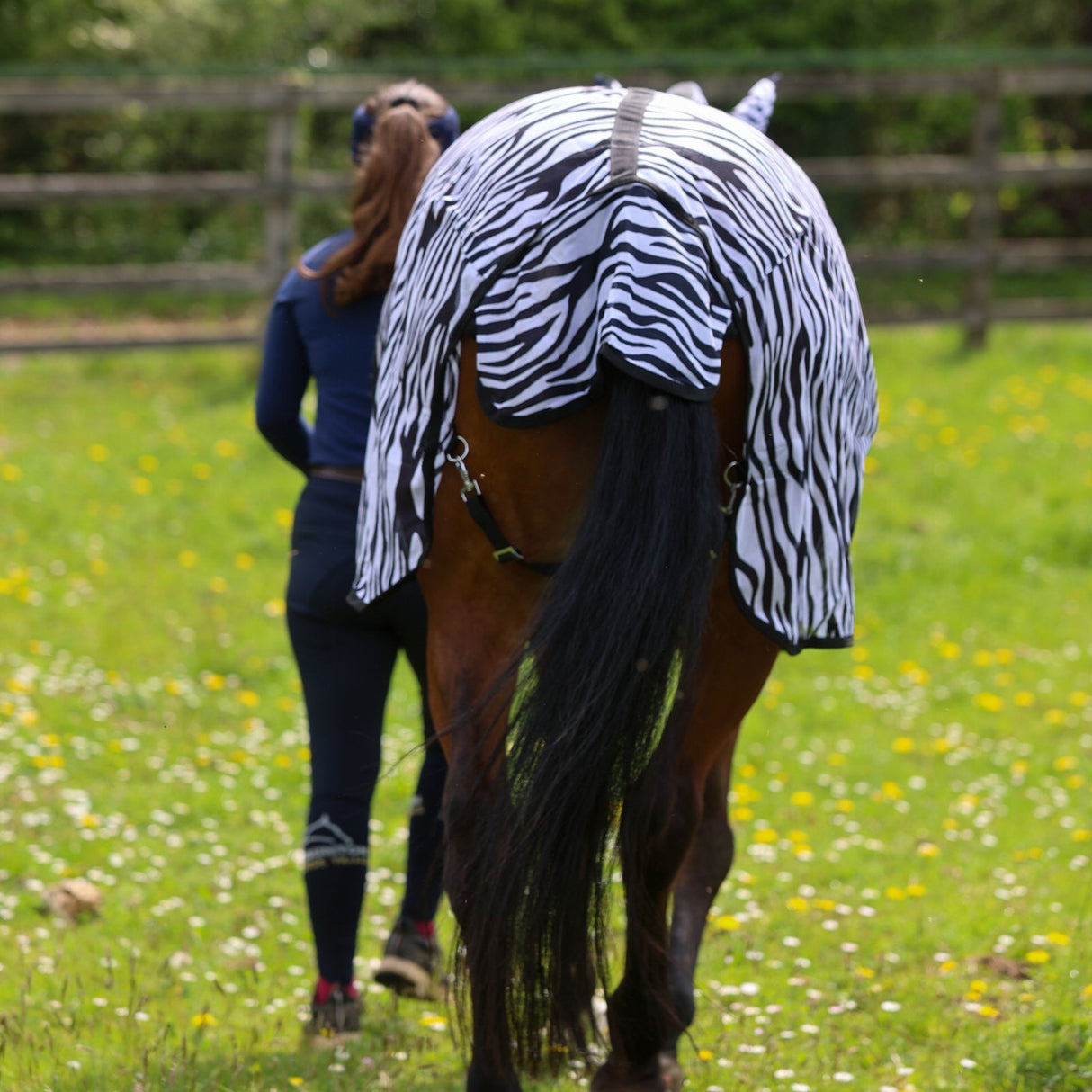 GS Equestrian Zebra Print Fly Rug #colour_black/white