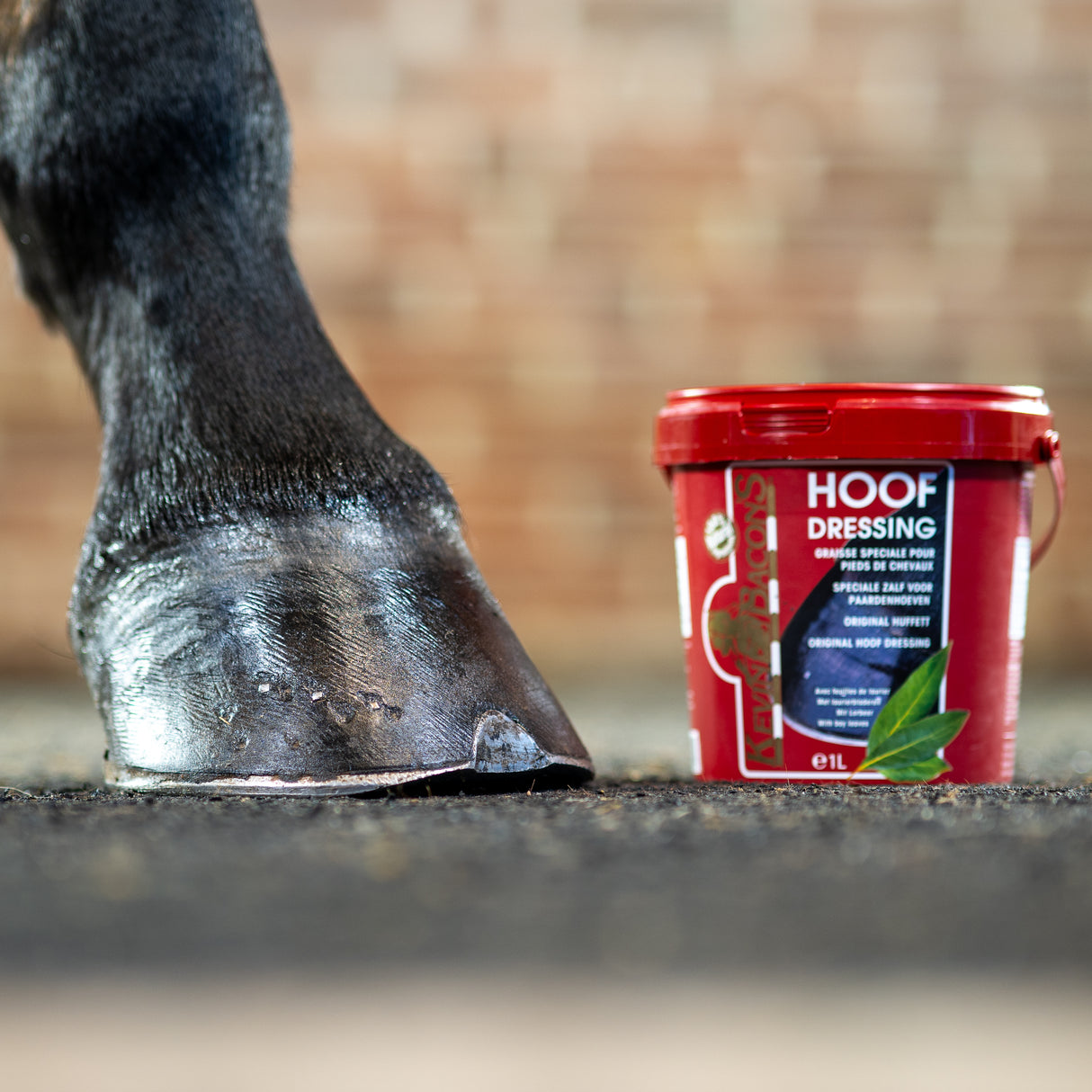 Kevin Bacon's Hoof Dressing with Natural Burnt Ash