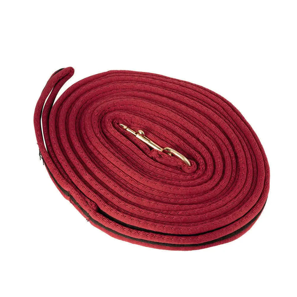 Hy Soft Webbing Lunge Rein