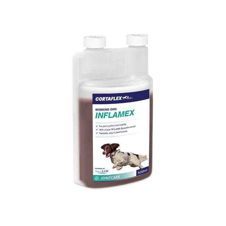Equine America Cortaflex Canine Inflamex Solution