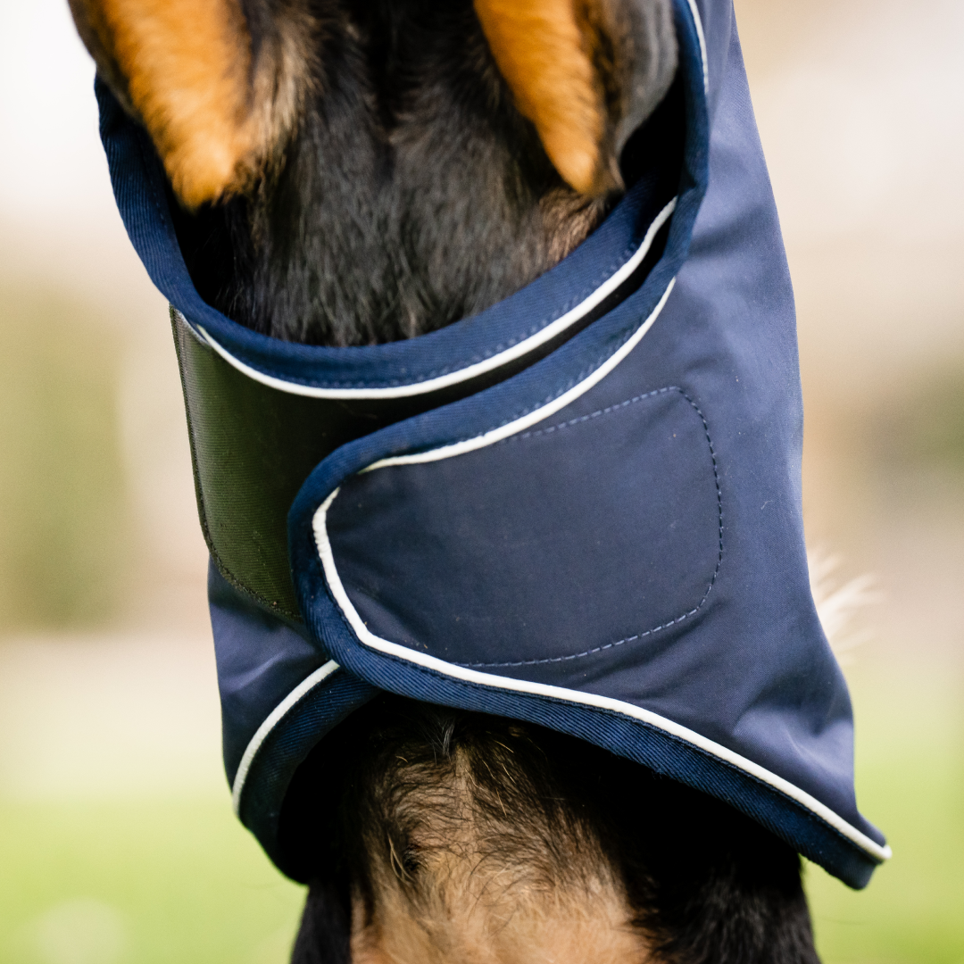 Horseware Signature Dog Rain Coat