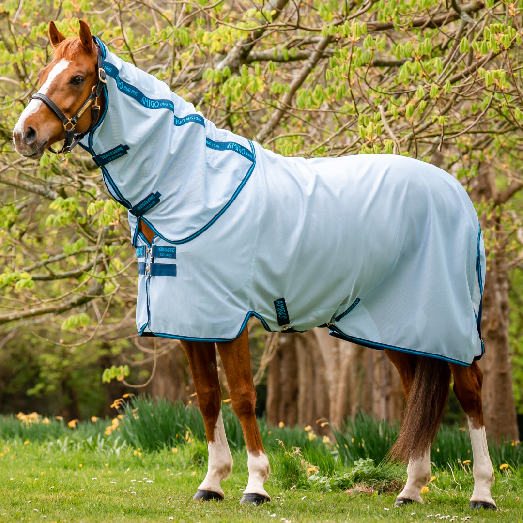 Horseware Ireland Amigo Bug Rug #colour_azure-blue-navy-electric-blue