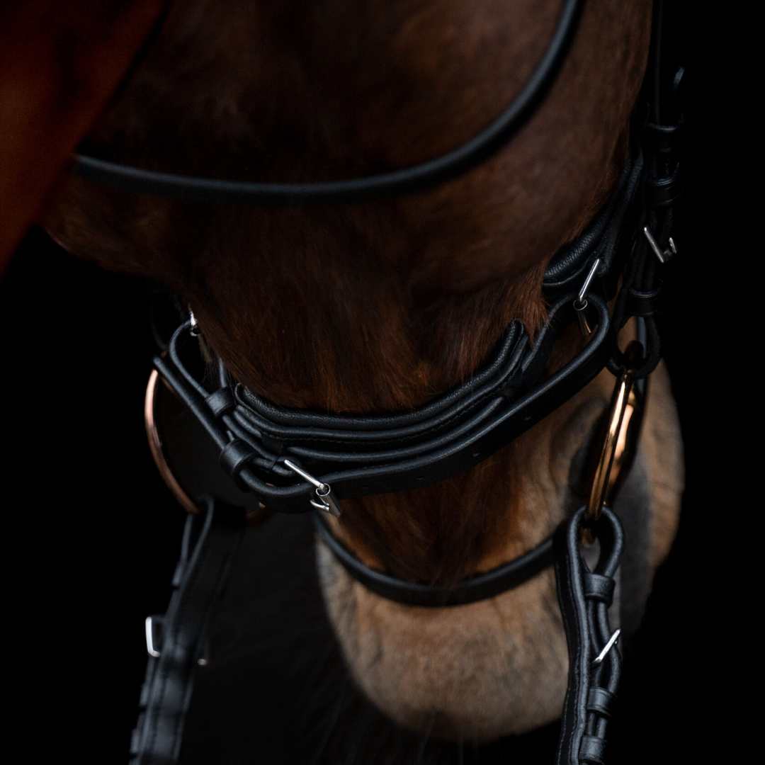 HKM Bridle -Kopenhagen-