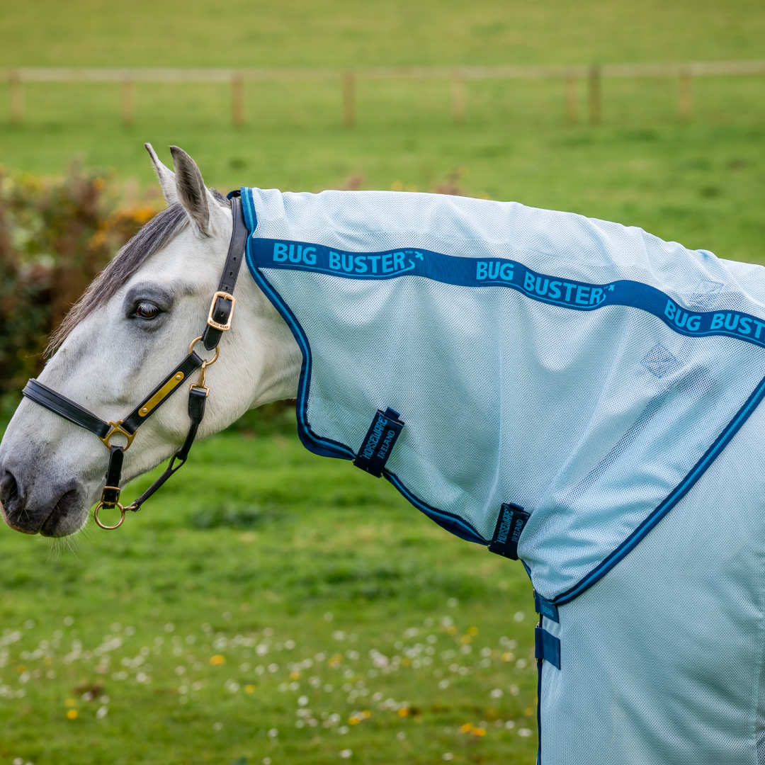 Horseware Ireland Amigo Bug Buster #colour_azure-blue-navy-electric-blue