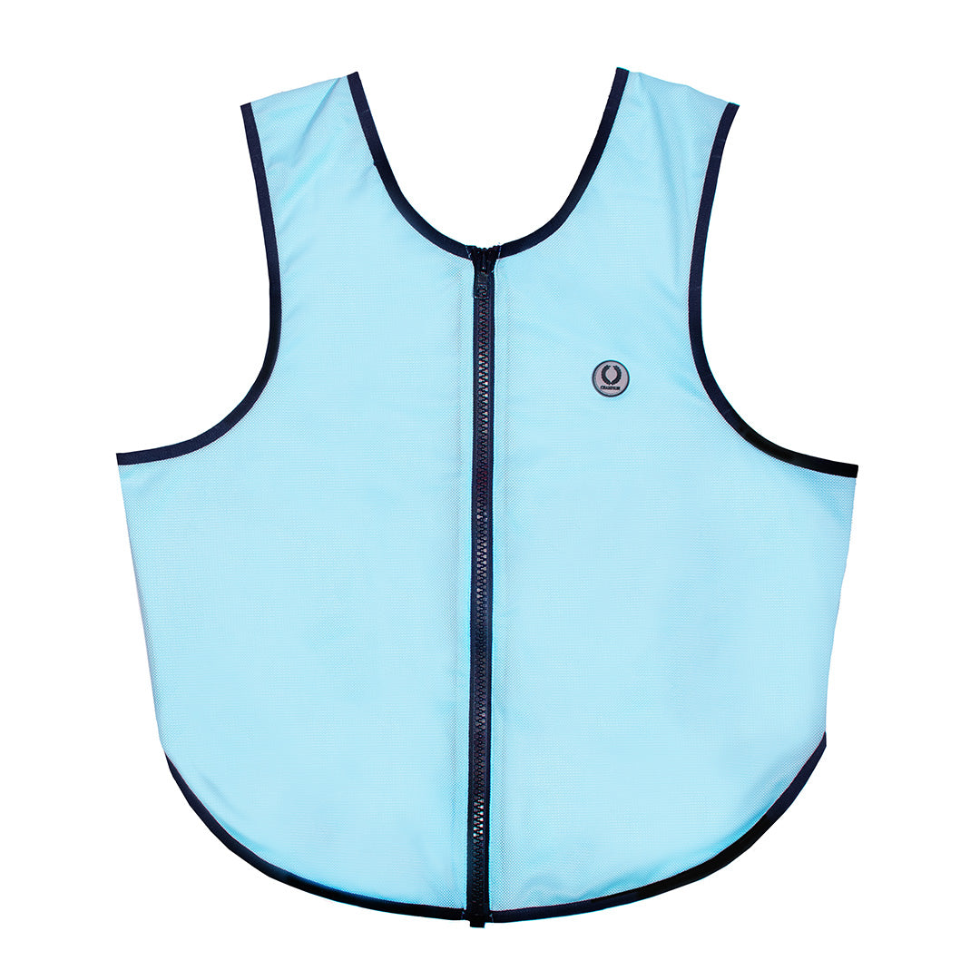 Champion TI22 Adults Coloured Mesh Vest #colour_powder-blue