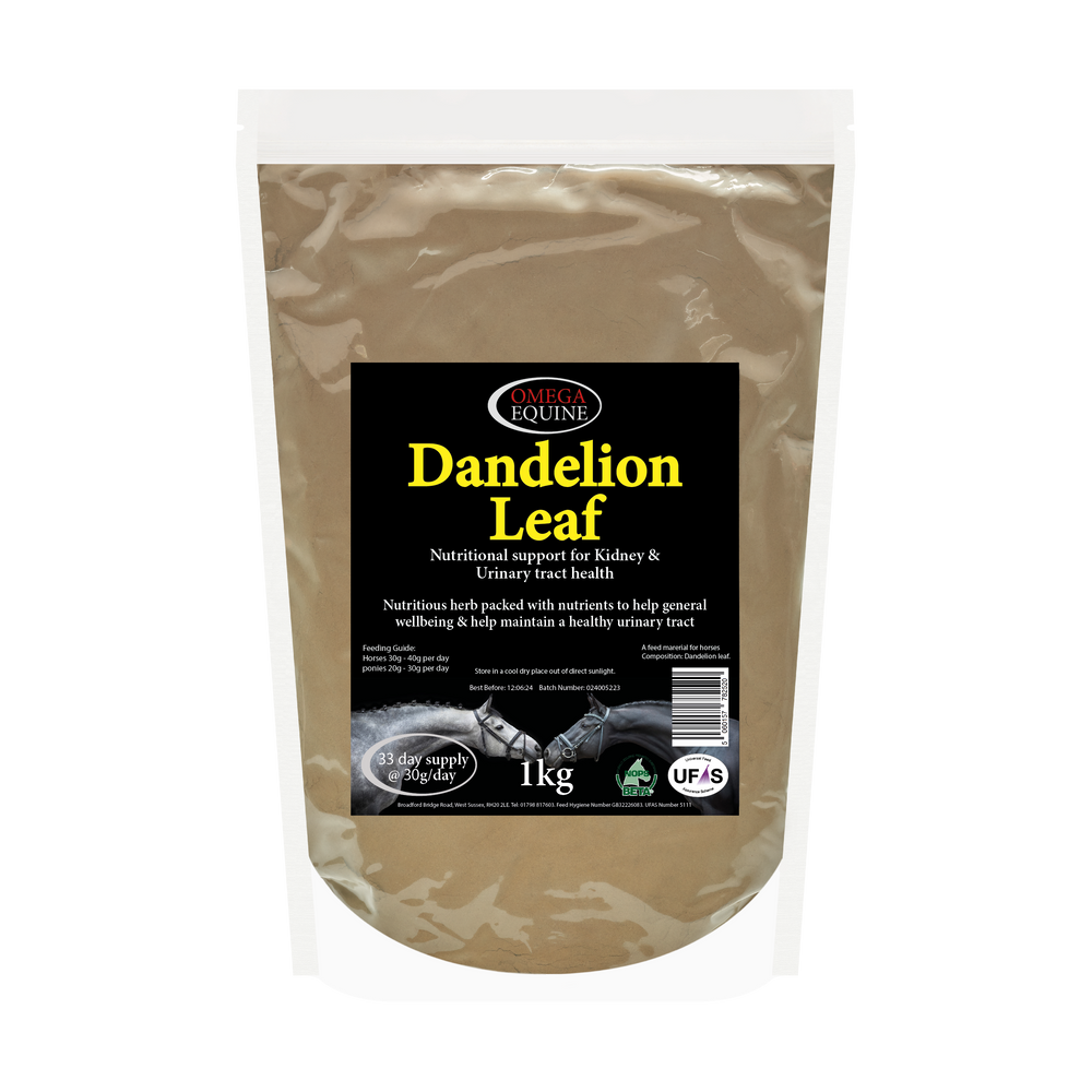 Omega Dandelion Leaf Powder